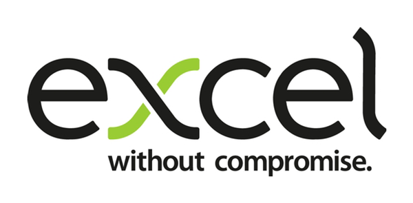 Excel logo
