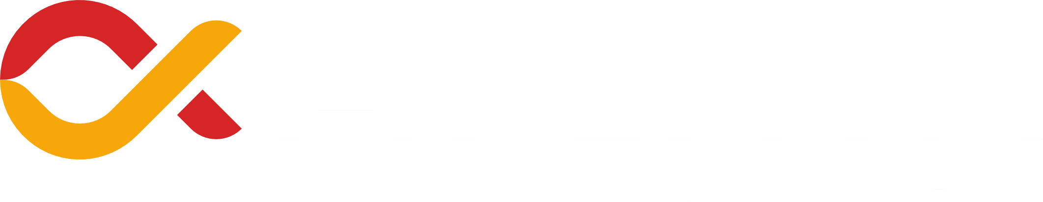 AYENYX COMPUTERS